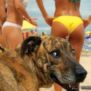 Meet your Posher, Greg